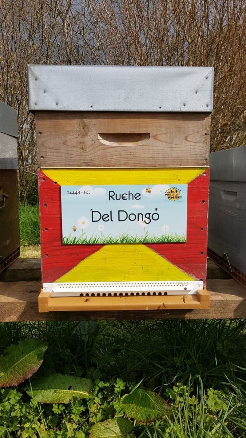 La ruche Del Dongo