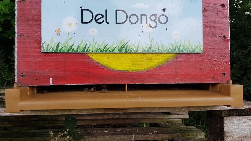 La ruche Del Dongo