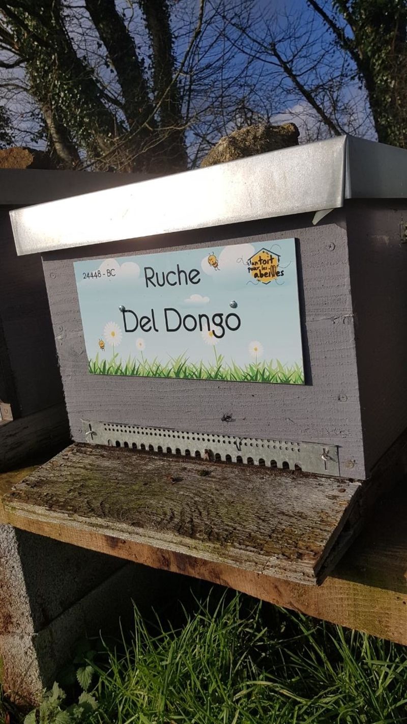 La ruche Del Dongo