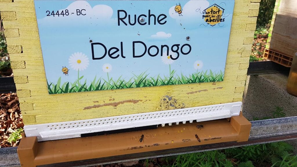 La ruche Del Dongo