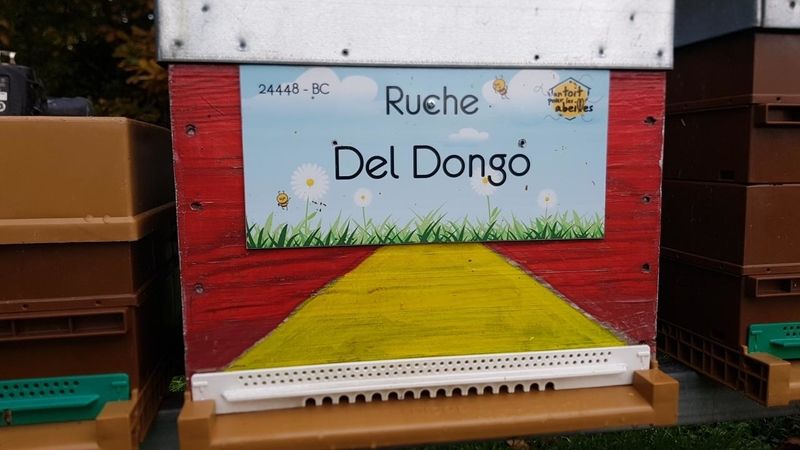 La ruche Del Dongo