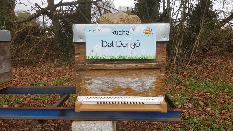 La ruche Del Dongo