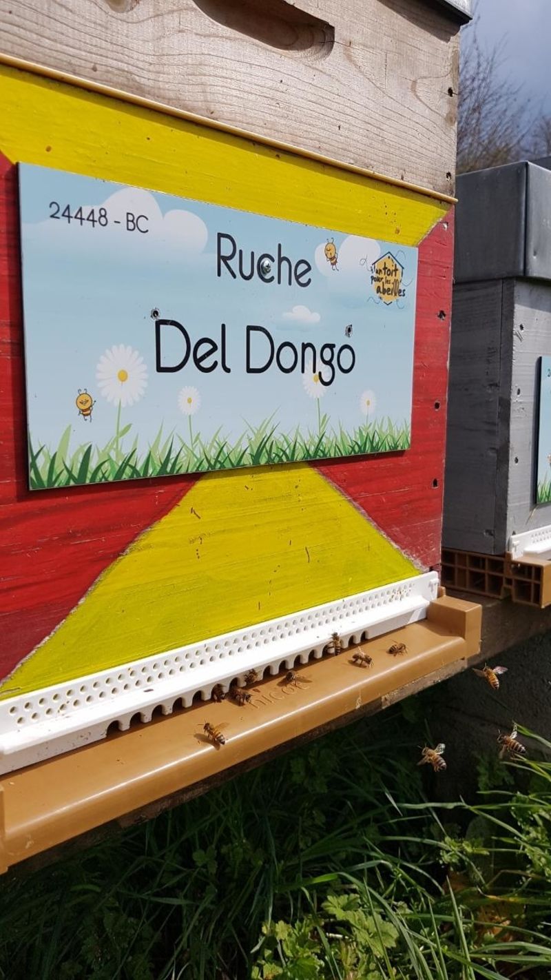 La ruche Del Dongo