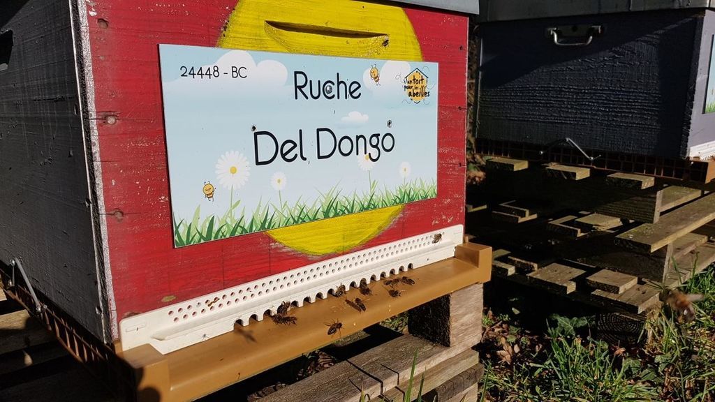 La ruche Del Dongo