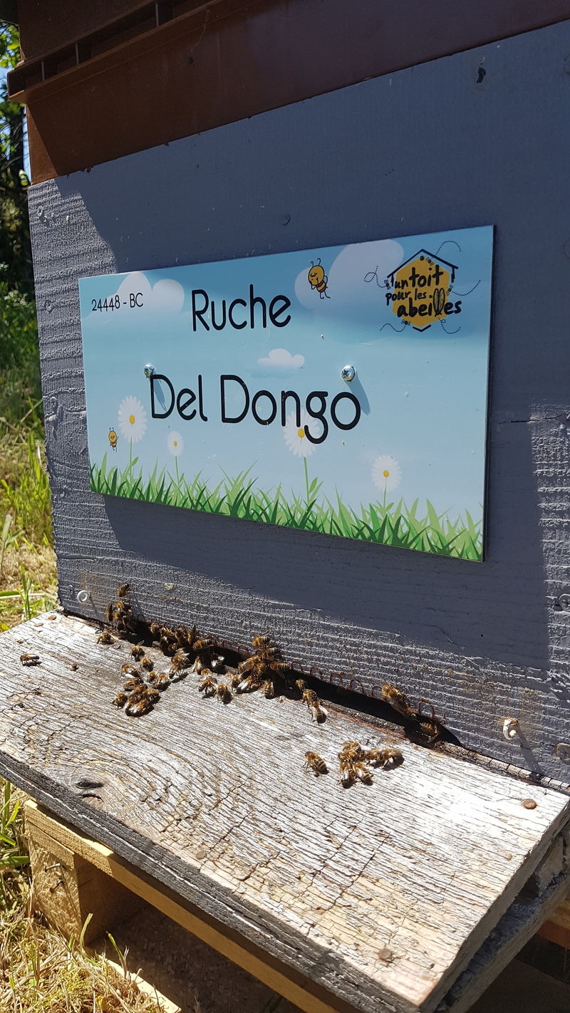 La ruche Del Dongo