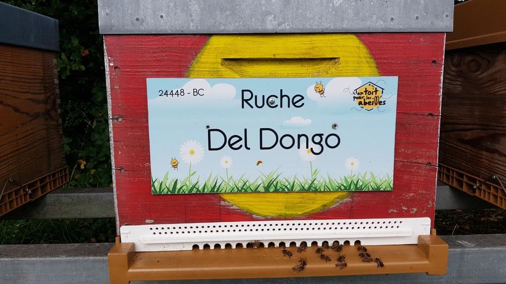 La ruche Del Dongo