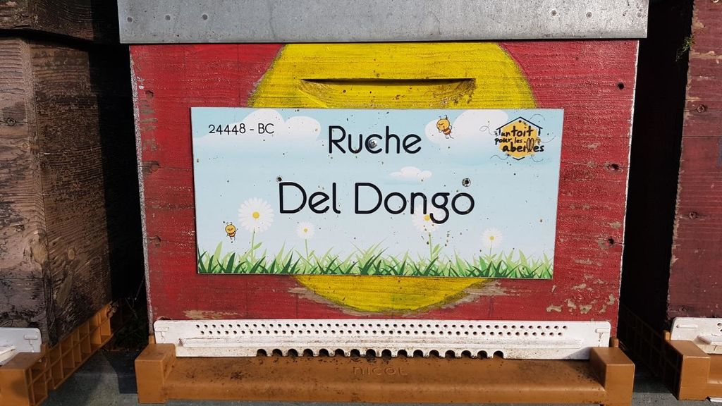 La ruche Del Dongo