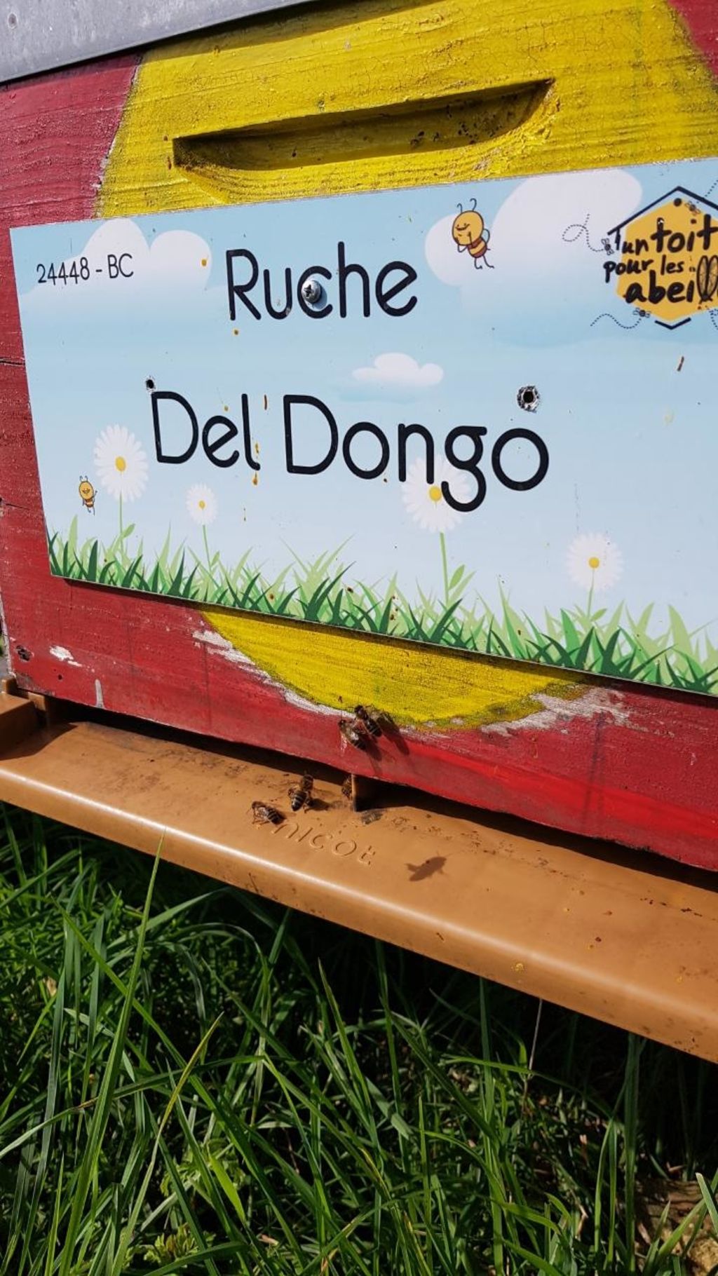 La ruche Del Dongo