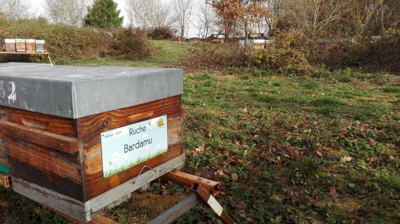 La ruche Bardamu
