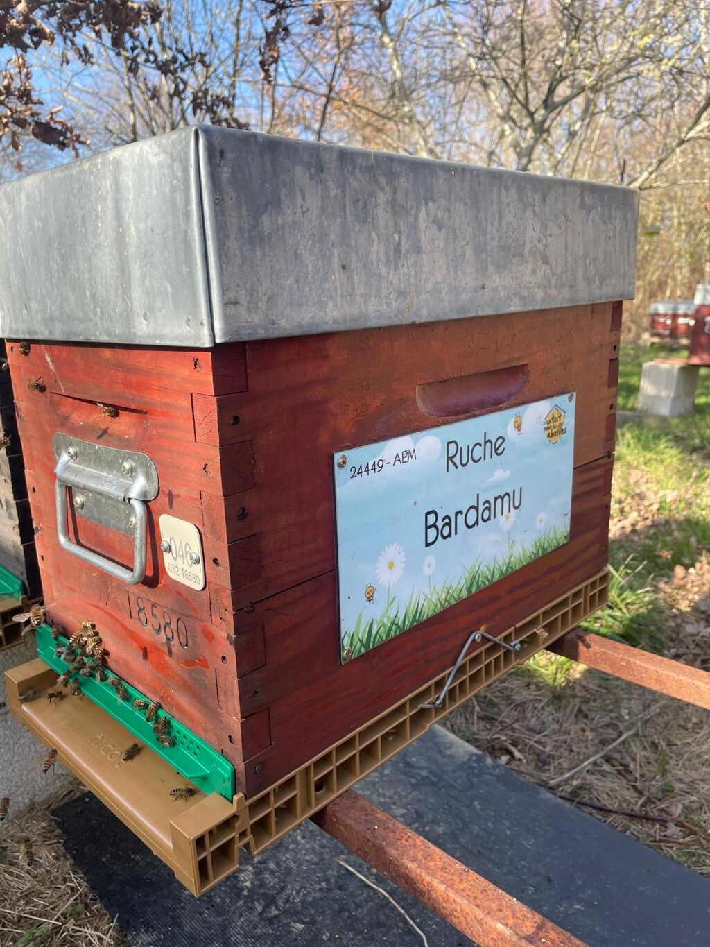La ruche Bardamu