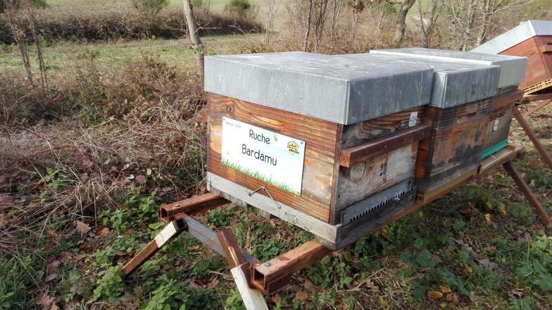 La ruche Bardamu