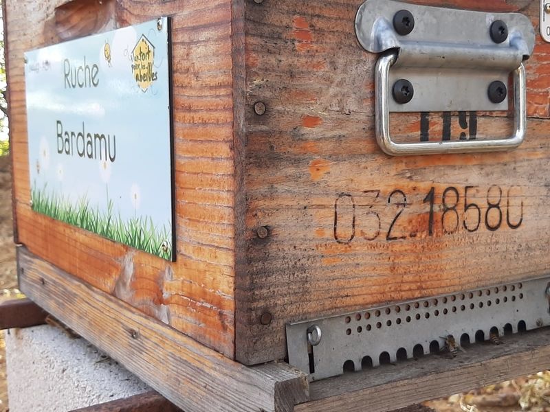 La ruche Bardamu