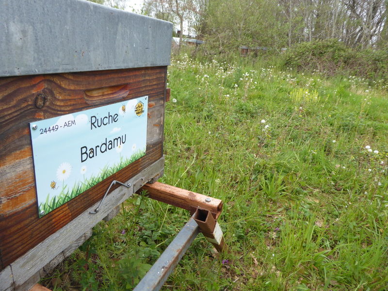 La ruche Bardamu
