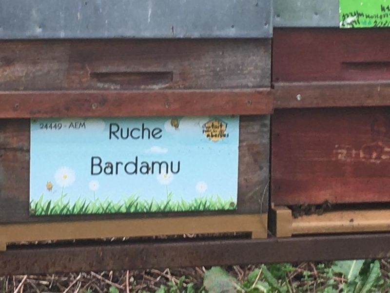 La ruche