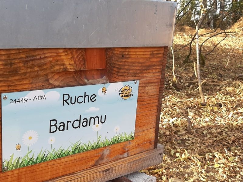 La ruche Bardamu