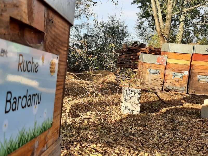 La ruche Bardamu