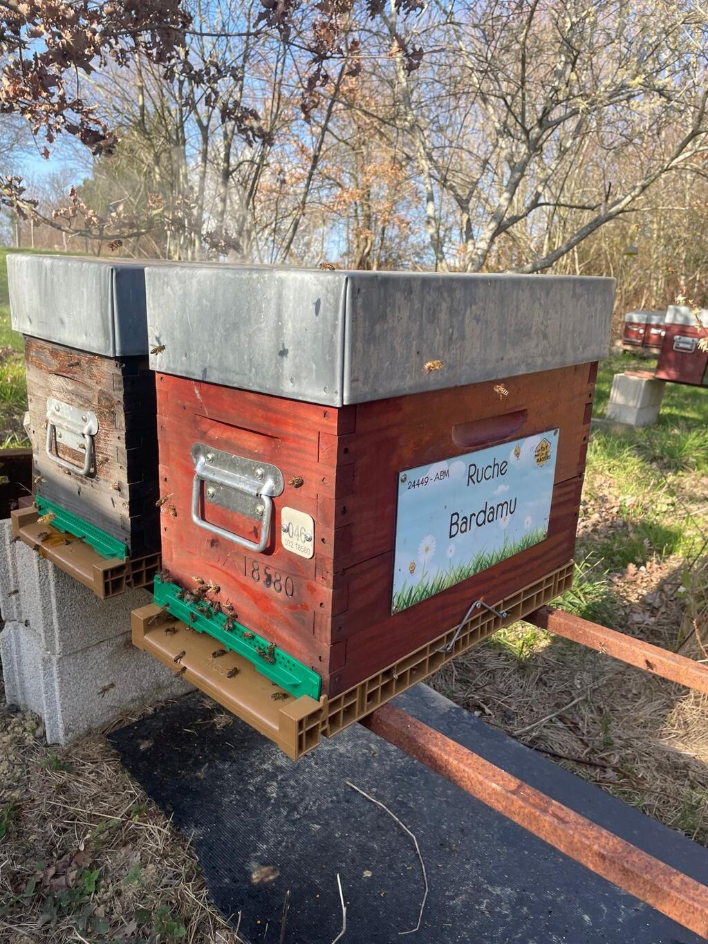 La ruche Bardamu