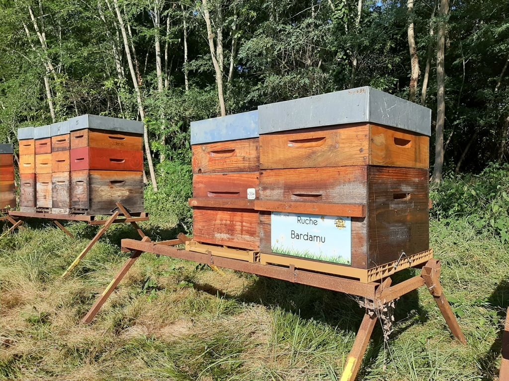 La ruche Bardamu
