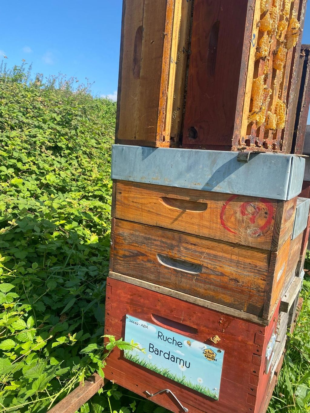 La ruche Bardamu