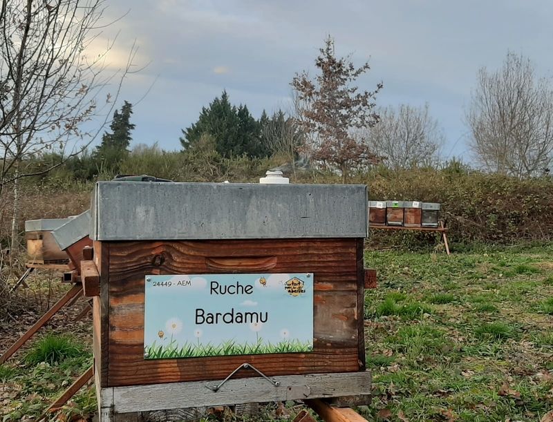 La ruche Bardamu