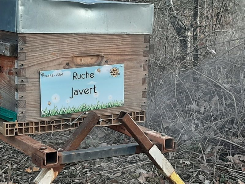 La ruche Javert
