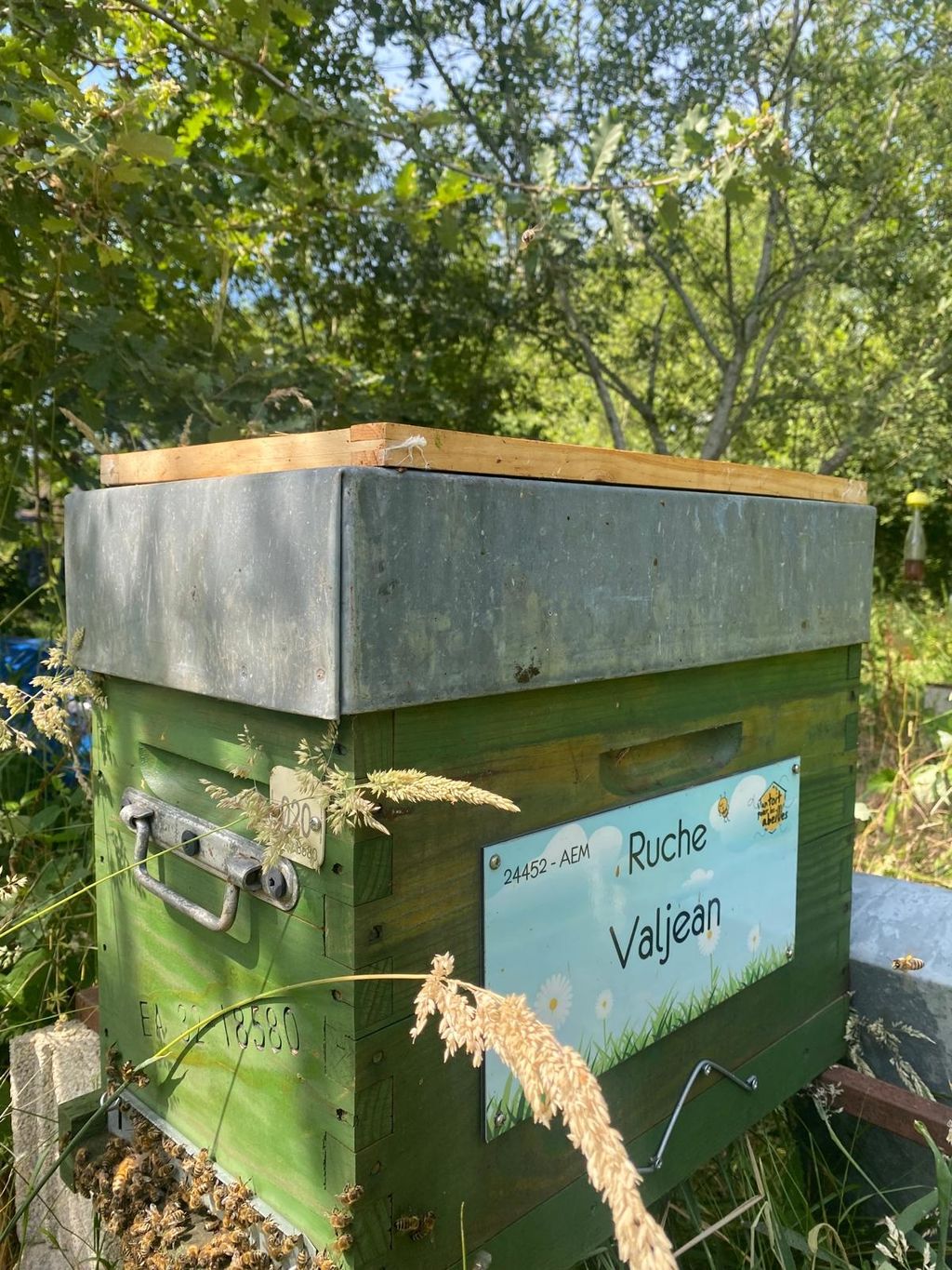 La ruche Valjean