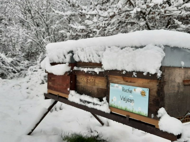 La ruche Valjean