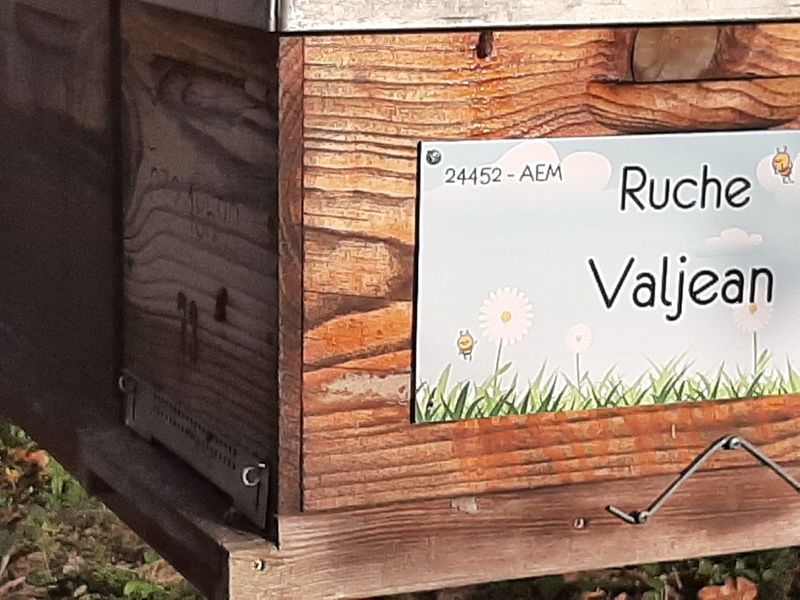 La ruche