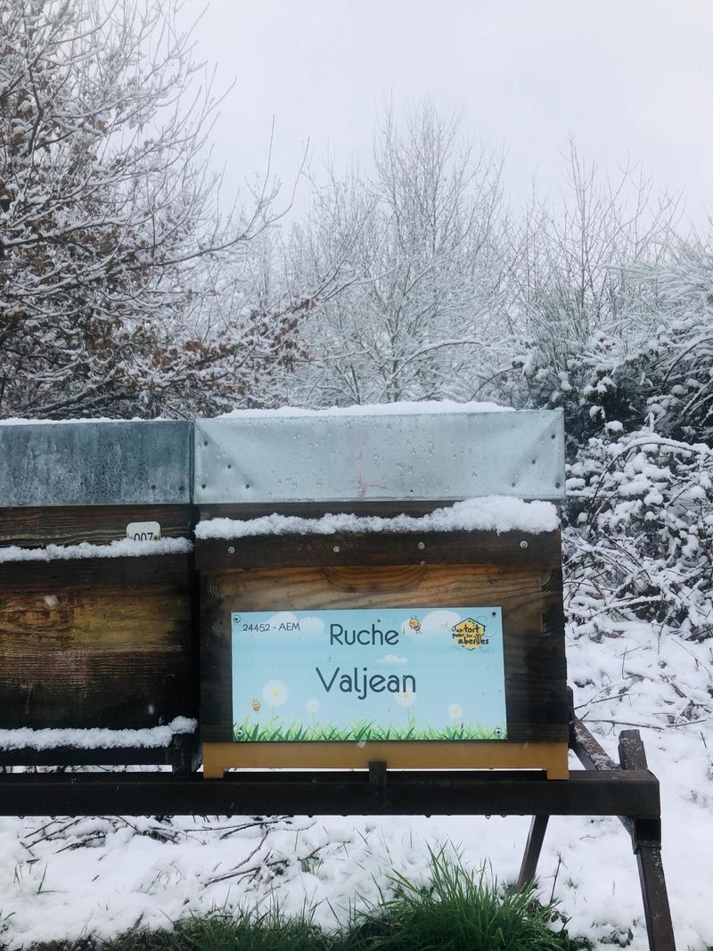 La ruche Valjean