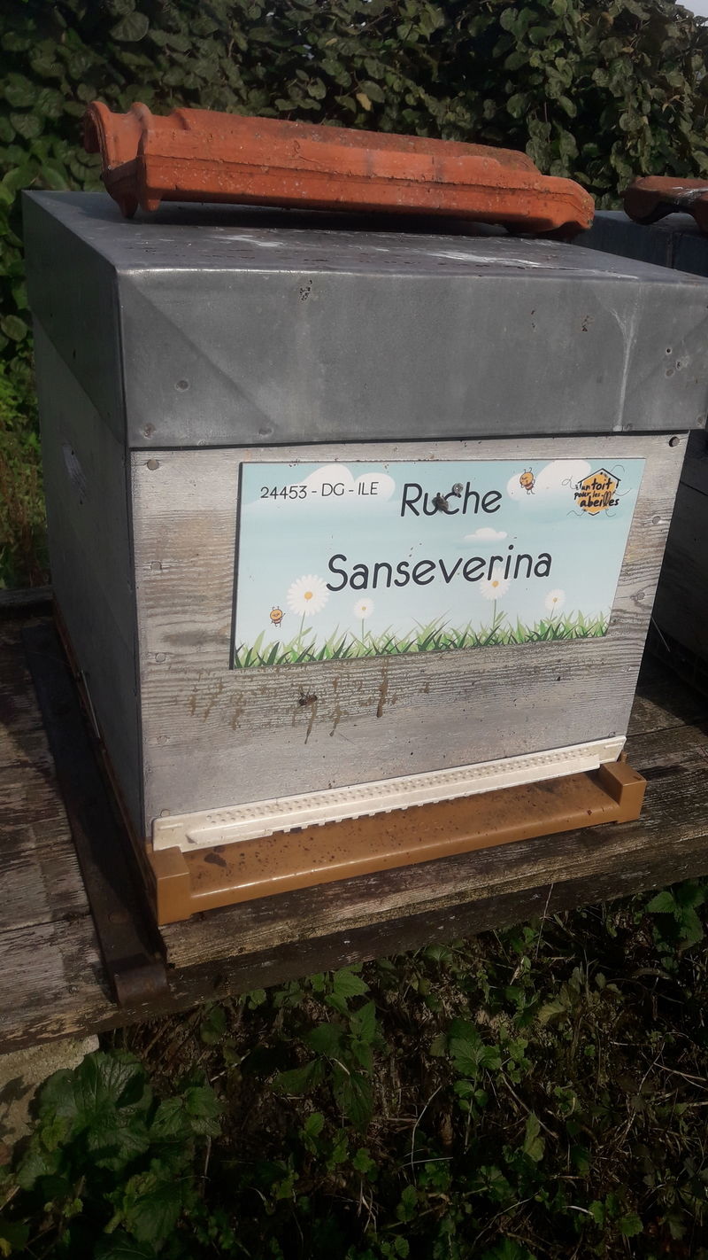 La ruche