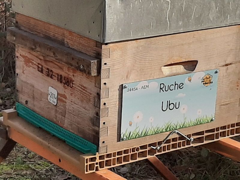 La ruche Ubu
