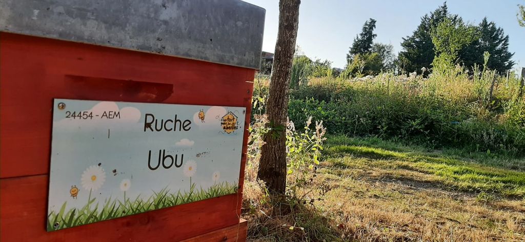 La ruche Ubu