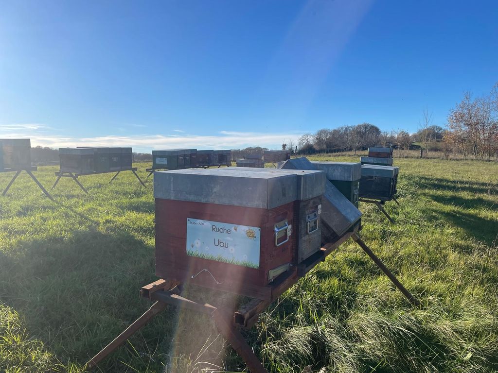 La ruche Ubu