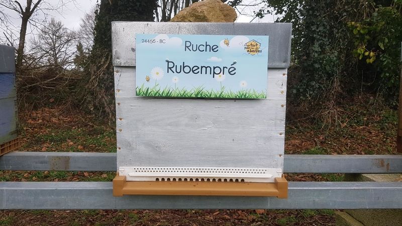 La ruche