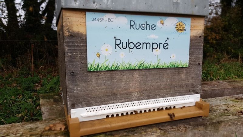 La ruche Rubempré
