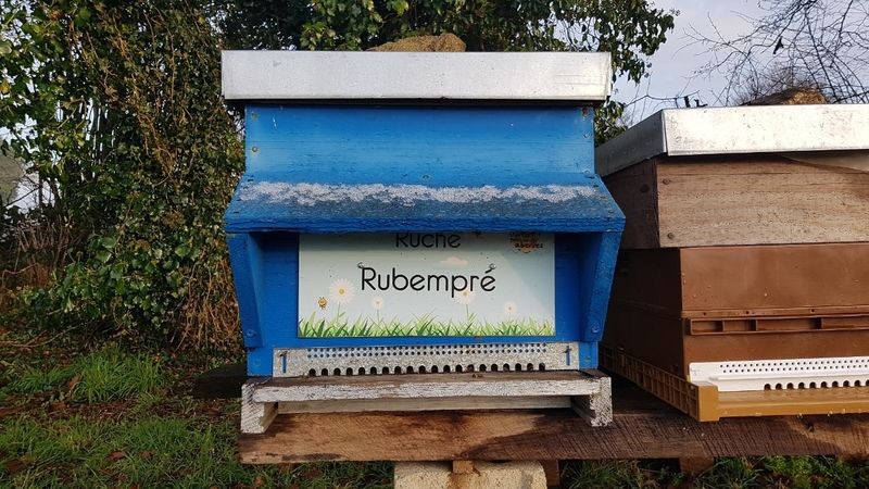 La ruche Rubempré