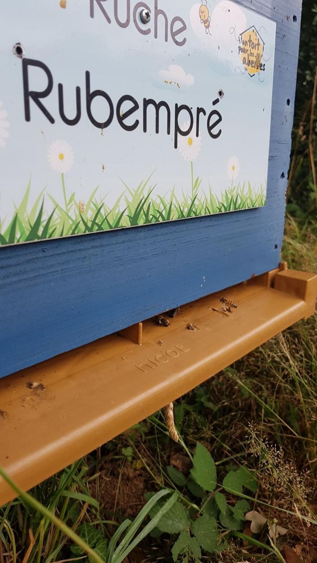 La ruche Rubempré
