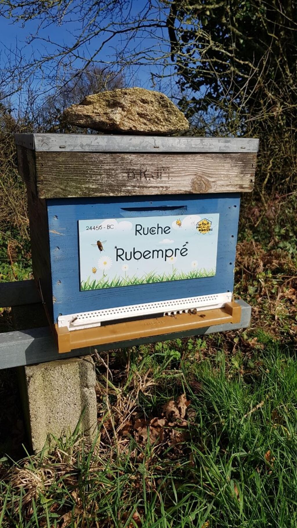 La ruche Rubempré