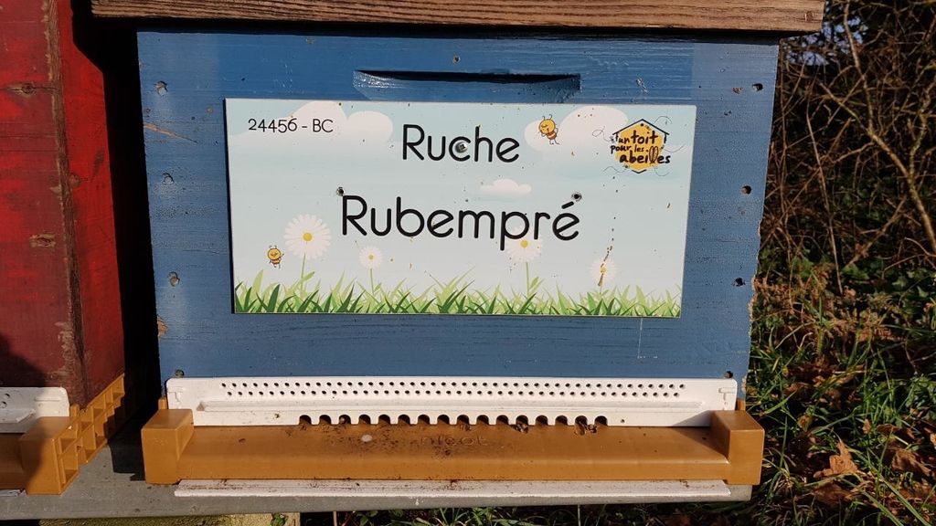 La ruche Rubempré