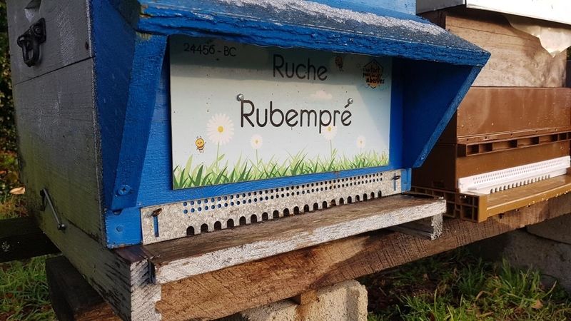 La ruche Rubempré