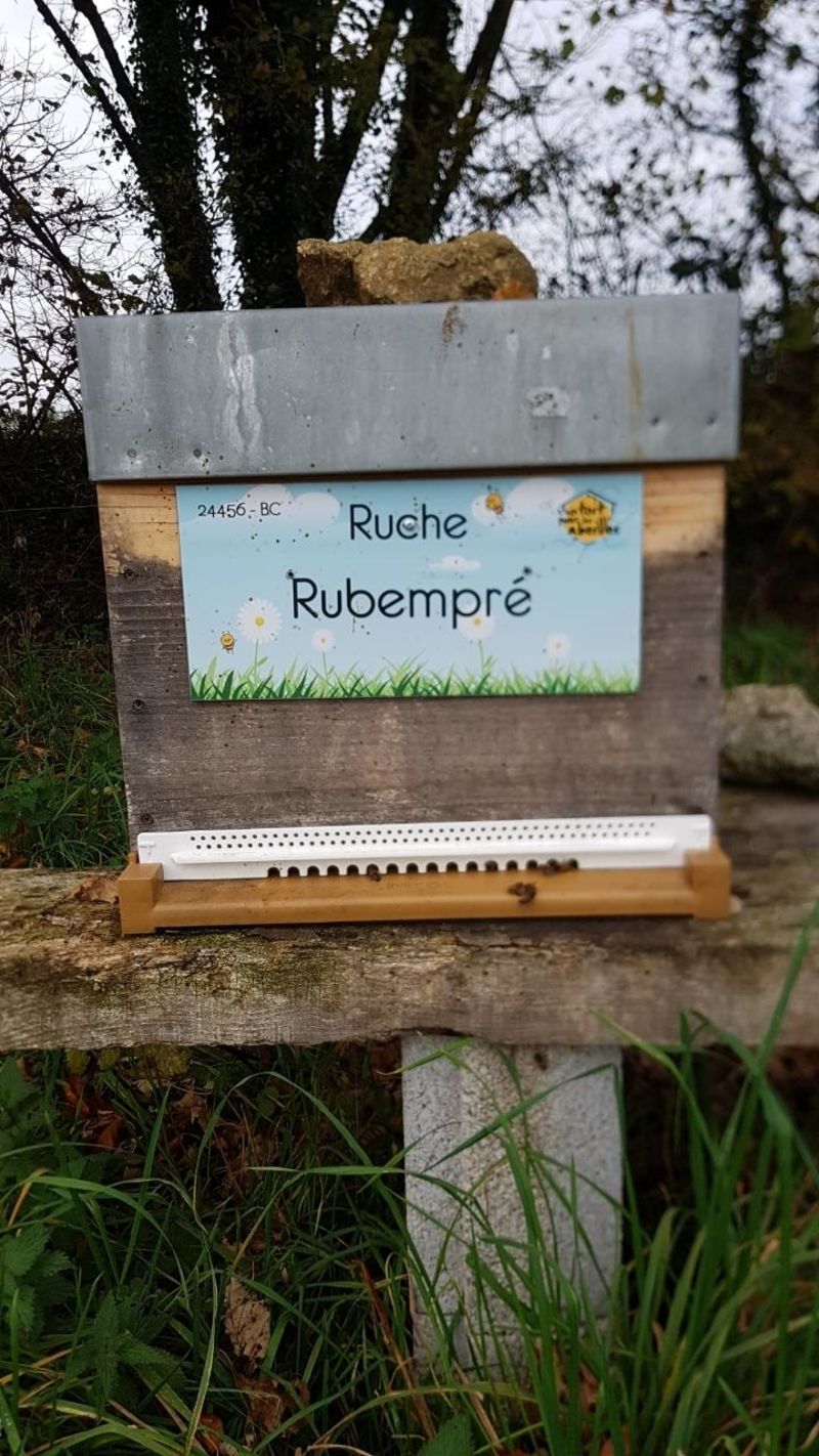 La ruche Rubempré