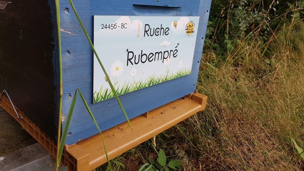 La ruche Rubempré
