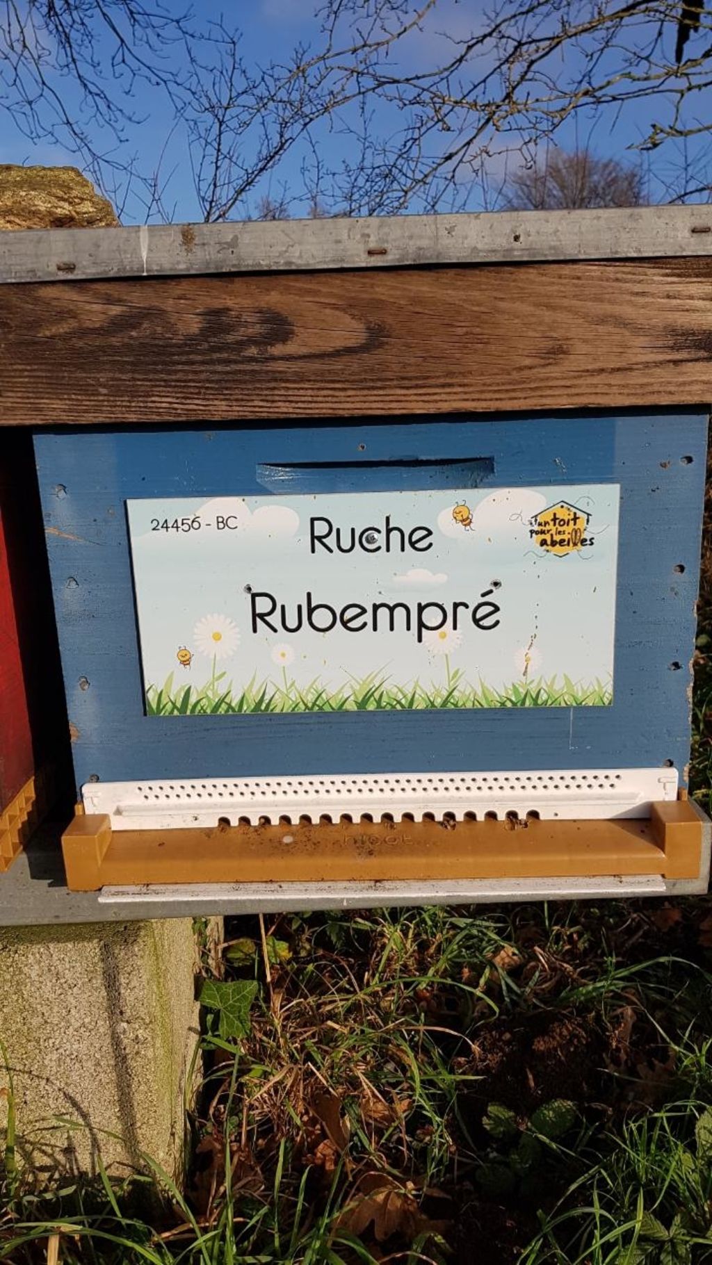 La ruche Rubempré