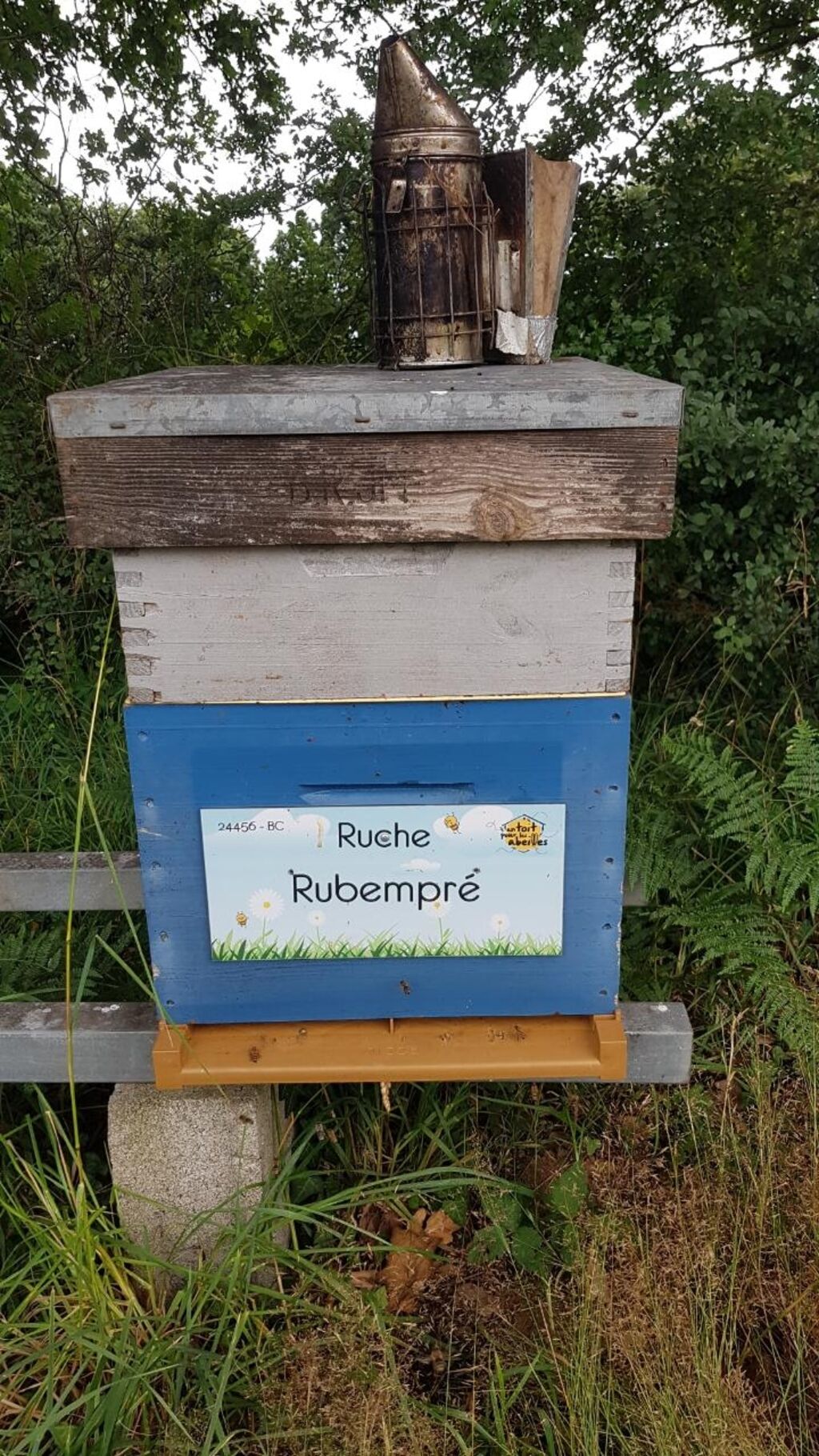 La ruche Rubempré