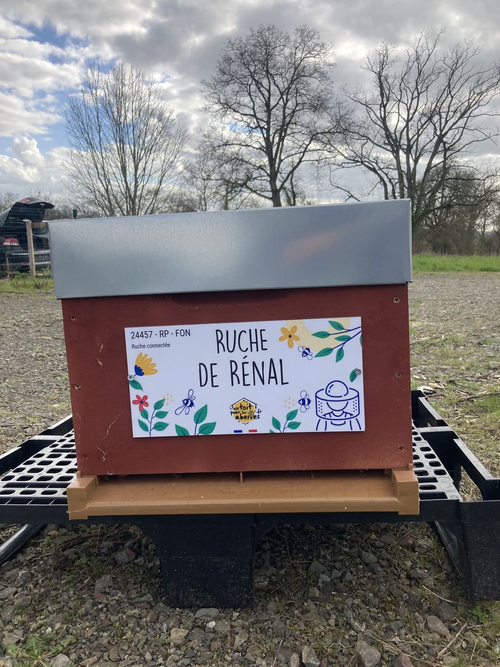 La ruche