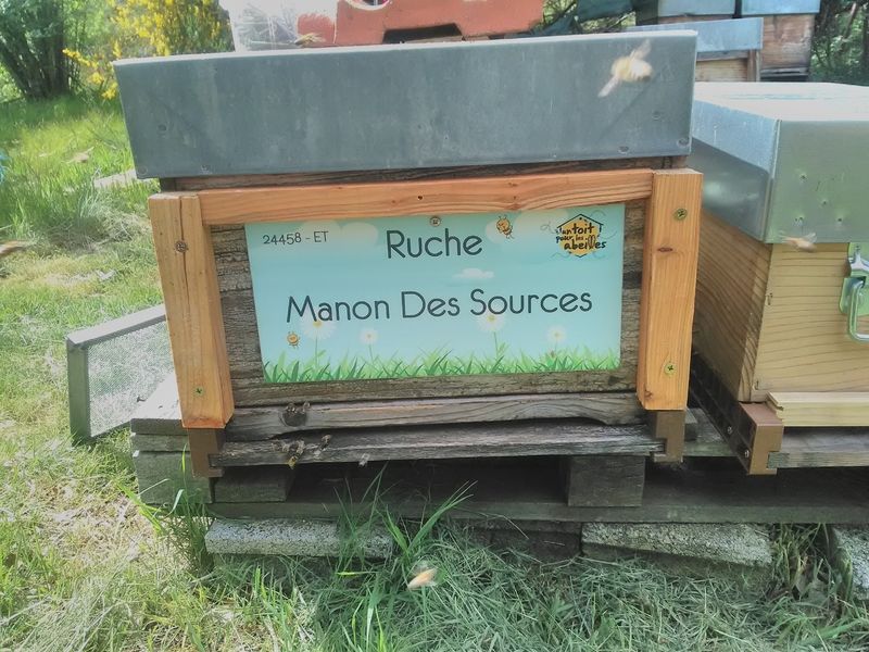 La ruche Manon Des Sources