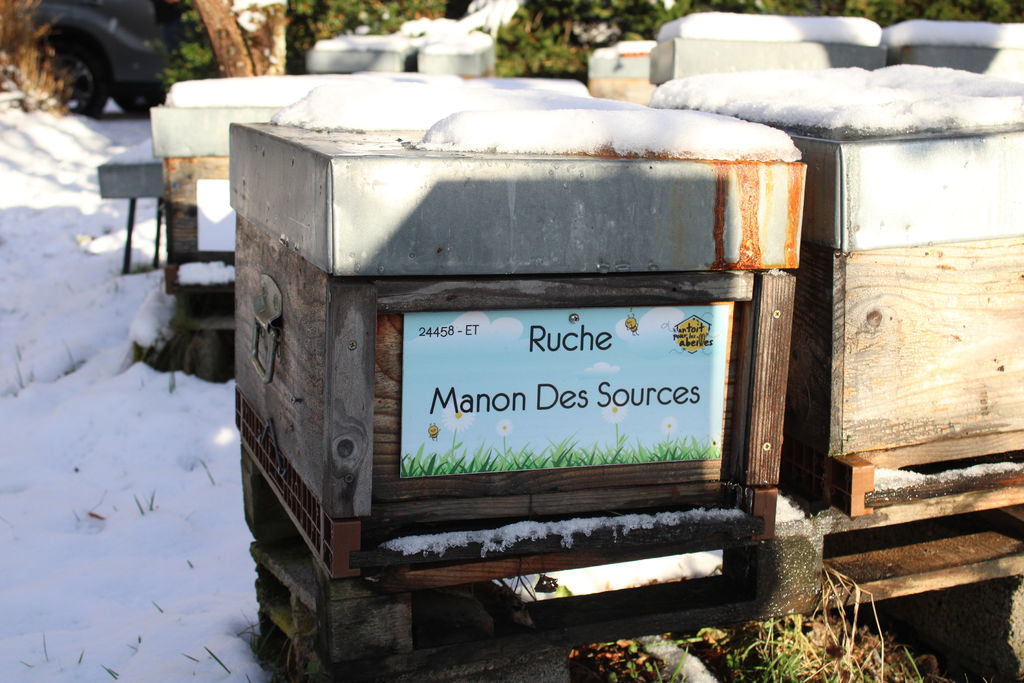 La ruche Manon Des Sources