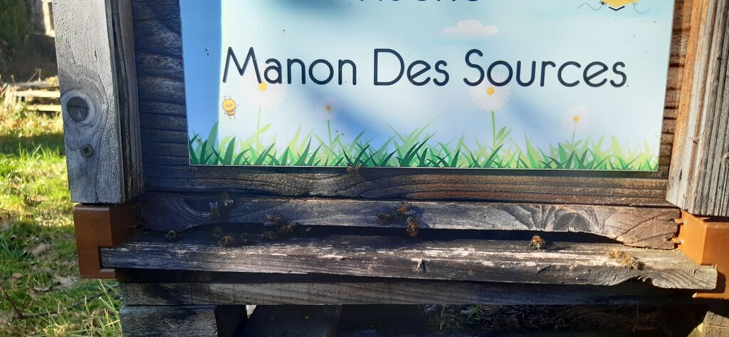 La ruche Manon Des Sources