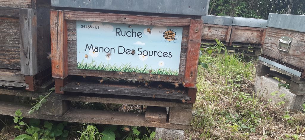 La ruche Manon Des Sources