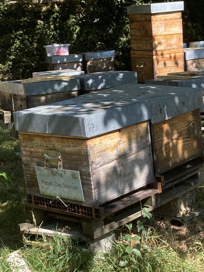 La ruche Manon Des Sources